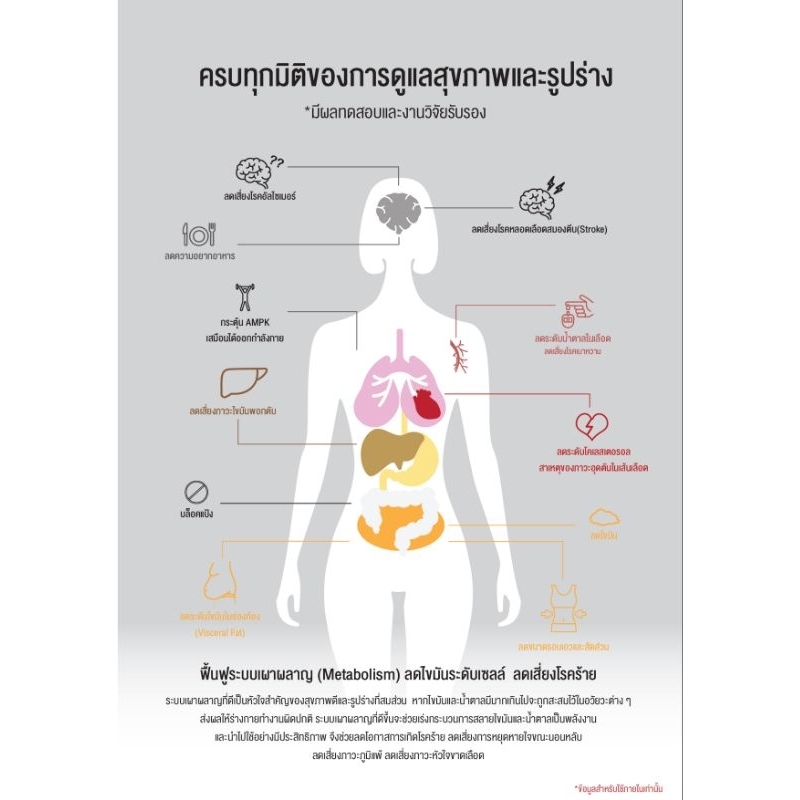 SHARIS META PRO (Metabolism booster) เพิ่มระบบเผาผลาญ รูปที่ 4