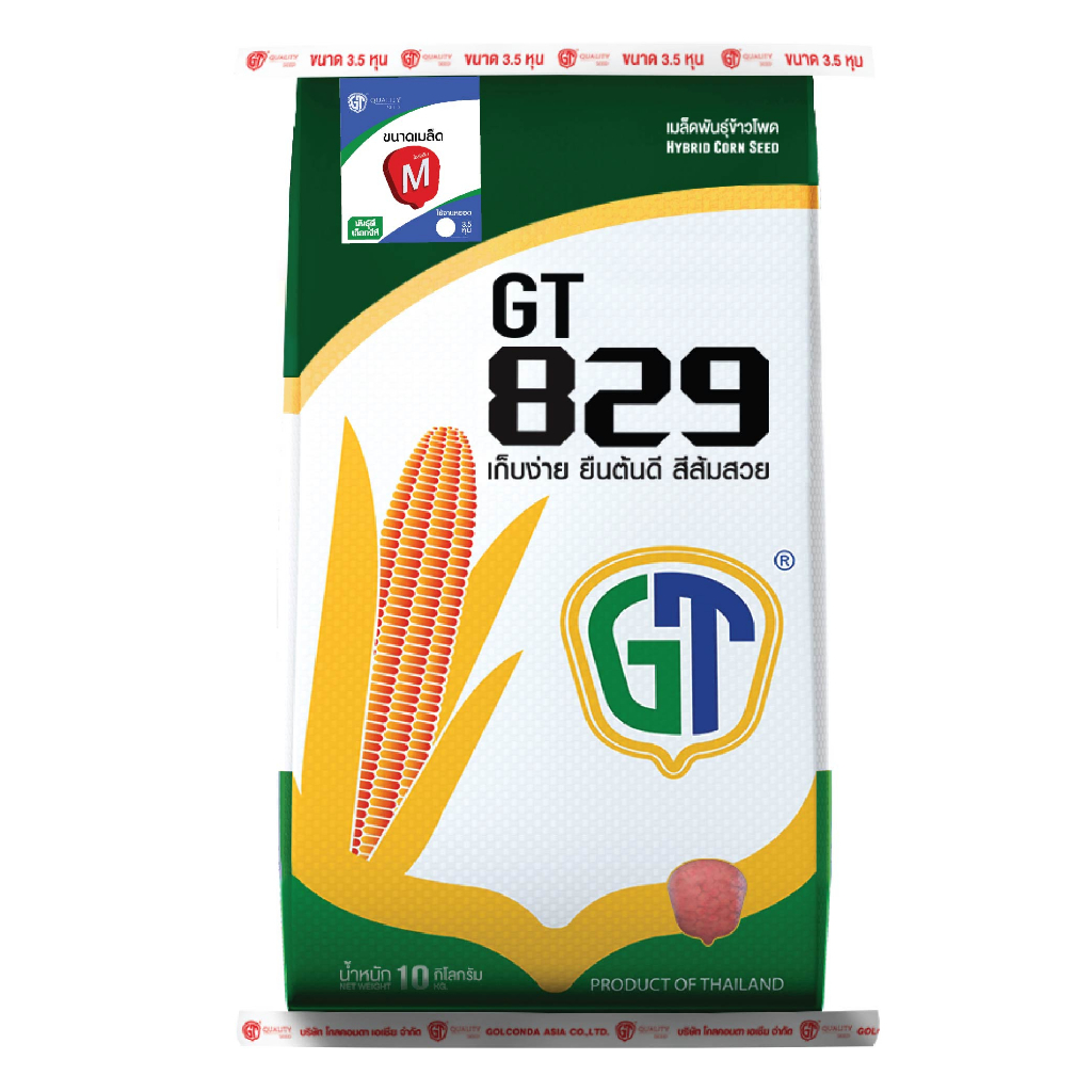 เมล็ดพันธุ์ข้าวโพดเลี้ยงสัตว์ GT 829/M (3.5หุน) Hybrid seeds (Zea mays) Maize Seeds 10 กิโลกรัม