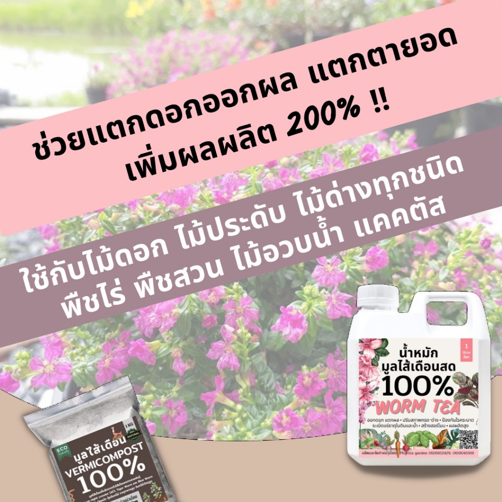 ส่งฟรี มูลไส้เดือน ปุ๋ยมูลไส้เดือน (20kg) ปุ๋ยหมักผสมมูลไส้เดือน สูตรเพิ่มธาตุอาหาร คุณภาพสูง ราคา ถูกที่สุด ดีลบีเคเค แกลเลอรีภาพที่ 6