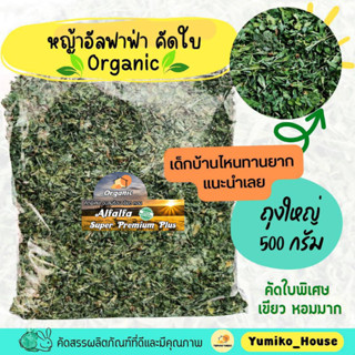 หญ้าอัลฟาฟ่าคัดใบล้วน ออแกนิค Organic เกรดพรีเมี่ยม 500 กรัม คัดพิเศษ กลื่นหอมมาก