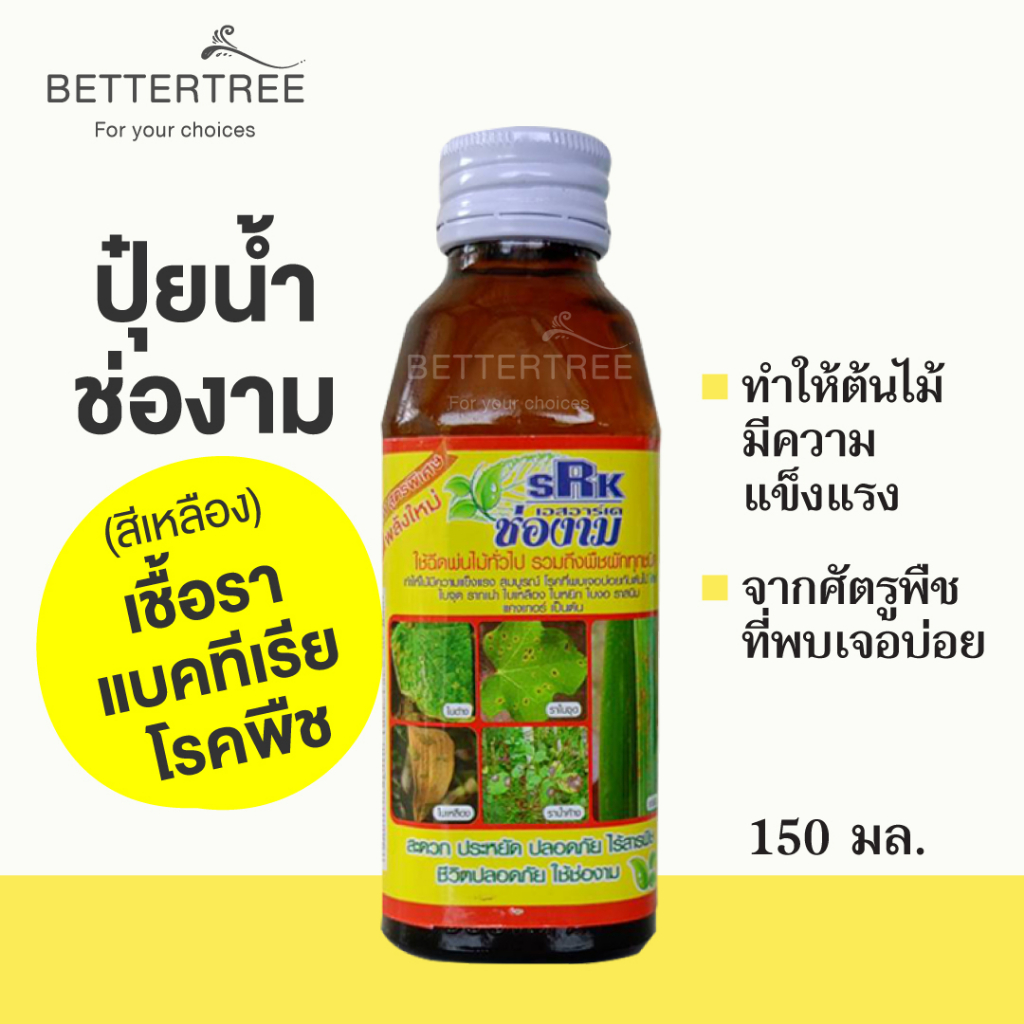 ช่องาม เชื้อราและแบคทีเรีย ปุ๋ยน้ำ ต้นไม้เป็นโรค fertilizer