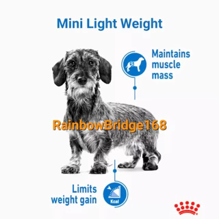 Royal Canin Mini Light Weight Care 8kg โรยัลคานิน อาหารสุนัขพันธ์ุเล็ก ลดน้ำหนัก คุมน้ำหนัก ถุง 8 กก