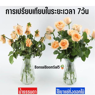 *พร้อมส่งจากไทย* แช่กิ่งดอกไม้ ยืดอายุดอกไม้ในแจกัน 5กรัมต่อซอง