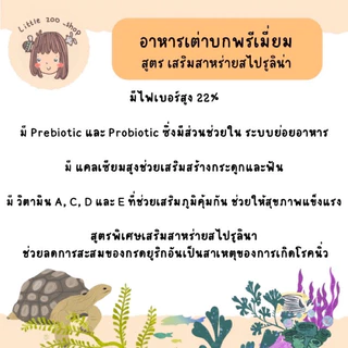 Pet2go / Turtle land อาหารเต่าบก 500 กรัม, 1กก, 2.5 กก เสริมสาหร่ายสไปรูลินา ลดการเกิดนิ่ว
