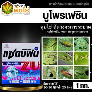 🌽 แซดบีฟิน25 (บูโพรเฟซิน) 1กิโลกรัม ยาคุมไข่เพลี้ย แมลงปากดูดทุกชนิด เช่นเพลี้ยกระโดดสีน้ำตาล เพลี้ยแป้ง เพลี้ยหอย