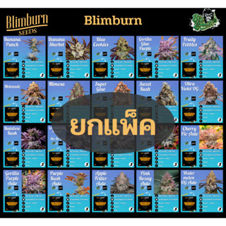 เมล็ดกัญชาเพศเมีย 100% ค่าย Blimburnseeds 3 เมล็ด พร้อมกล่อง  #โฟโต้ #Photo ของแท้ พร้อมส่ง