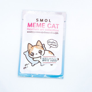 พวงกุญแจซองสุ่มแมวอ้วนรุ่น Meme Cat [CATEYES]