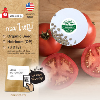 เมล็ดผักนำเข้า มะเขือเทศลูกใหญ่ Big Tomato (Organic Seed) ลูกท้อ ลูกกลม Heirloom
