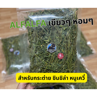 Alfalfa (อัลฟาฟ่า) เขียวๆ หอมๆ สำหรับสัตว์ฟันแทะ