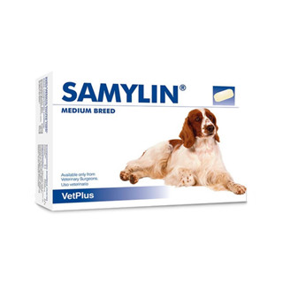 Samylin Medium breed 🔥ของแท้ฉลากไทย อาหารเสริม บำรุงตับ สุนัขขนาดกลาง