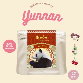 Black Cherry Red Wine เมล็ดกาแฟ Yunnan Red Wine Fermentation อราบิก้า 100% คั่วใหม่ &lt; Light - Medium Roast &gt;