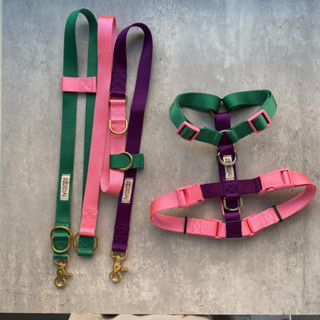 H Harness + Multifunction Leash (Value Set)