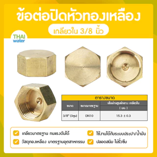 ข้อต่อปิดหัวทองเหลือง ฝาปิดหัวทองเหลือง เกลียวใน 1/8 - 1 นิ้ว