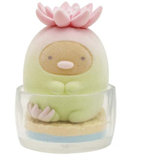 [ส่งตรงจากญี่ปุ่น] ตุ๊กตา Sumikko Gurashi Petite Sumikko Tonkatsu Succulent Plant Japan San-X