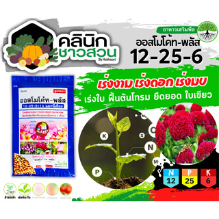 🥬 ออสโมโค้ท-พลัส (12-25-6) บรรจุ 100กรัม ใส่เพียงครั้งเดียว พืชได้รับปุ๋ยต่อเนื่องนาน 6 เดือน