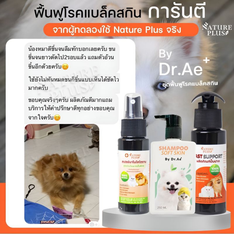 ชุดฟื้นฟูแบล็คสกิน สำหรับสุนัขที่มีปัญหาขนหลุดร่วงแบบไร้สาเหตุ ขนช็อตจากการตัดขน แล้วขนไม่ขึ้น