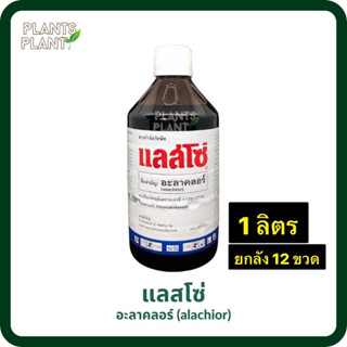 (ยกลัง12ขวด) อะลาคลอร์ (alachlor) แลสโซ่ 1 ลิตร [กำจัดวัชพืช หญ้านกสีชมพู หญ้าตีนกา หญ้าตีนติด และหญ้าขจรจบดอกเหลือง