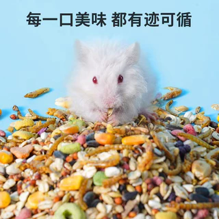 อาหารหนูแฮมสเตอร์ รสทะเลและผักผลไม้ 🐹 Hamster Food สูตรผสม ZC ขนาด 500 g.