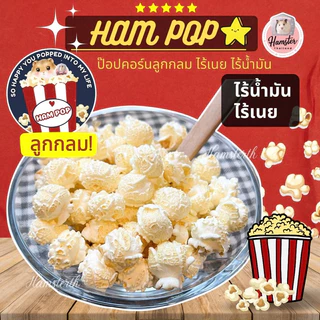[Hamsterthailand ]HAMPOP 🍿 ส่งจากไทย ป๊อปคอร์น ข้าวโพดไร้น้ำมัน ไร้เนย เกรดพรีเมี่ยม สัตว์เลี้ยง กินได้ ขนมแฮมสเตอร์