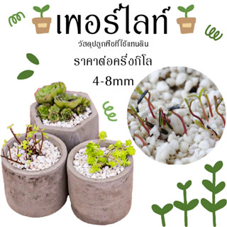 เพอร์ไลท์ (Perlite) ขนาด4-8mm หินปลูกพืช ปลูกต้นไม้ที่ใช้แทนดิน ผสมดินปลูก หินภูเขาไฟ อุปกรณ์ทำสวน วัสดุปลูกผัก ปุ๋ย