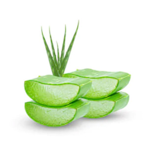 หัวน้ำหอมกลิ่นว่านหาง Aloe vera  หัวน้ำหอมแท้100% หัวน้ำหอมใส่สบู่ หัวน้ำหอมใส่ครีม ใส่โลชั่น ขนาด30ML-100ML