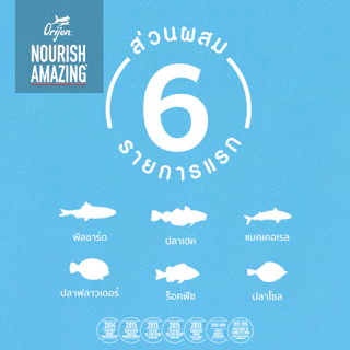 ORIJEN Six Fish Cat 340 กรัม โอริเจน ซิกซ์ ฟิช สำหรับแมวทุกช่วงวัย ทุกสายพันธุ์