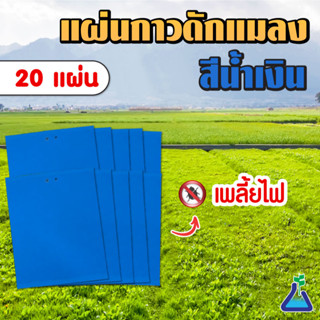 แผ่นกาวดักแมลง (สีฟ้า) ขนาด 20 x 25 เซนติเมตร จำนวน 20 แผ่น Blue Sticky Trap 20 x 25 cms 20 pcs