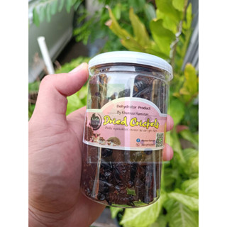 สินค้าขายดีจิ้งหรีดอบแห้ง Dried Crickets By คุณหนู สำหรับสัตว์เลี้ยง กระปุกใหญ่