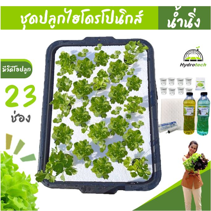 [กระบะ25ช่อง]ชุดทดลองปลูกผักไฮโดรโปนิกส์ ปลูกผักไร้ดิน รุ่น25ช่องน้ำนิ่ง