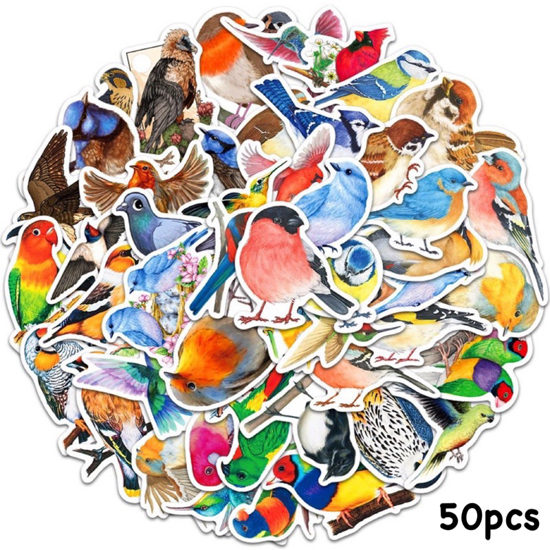 สติ๊กเกอร์ น้องนก 🦜 560 นกแก้ว 50ชิ้น มาคอร์ ฟอพัส ซันคอนัวร์ หงหยก bird parrot parakeet กรงหัวจุก พิราบ hummingbird