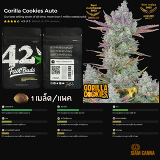 เมล็ดกัญชา Gorilla Cookies Auto - Fastbuds Pack : 1 seed พร้อมแพ็คเกจค่าย เมล็ดกัญชาออโต้