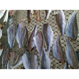 ปลาจวดตากแห้ง ปลาจวดเค็ม otop สินค้าจากแม่กลุ่มบ้าน ปลาจวดแดดเดียว ปลาจวดทะเล ใหม่สด ตากเองทุกวัน