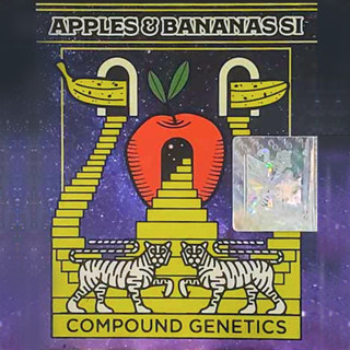 กิ่งชำ กิ่งชำค่าย กิ่งโคลน (Clones/cuttings) Apples ‘n’ Bananas S1 ค่าย Compound Genetics (ค่ายแท้ 100% เพศเมีย)