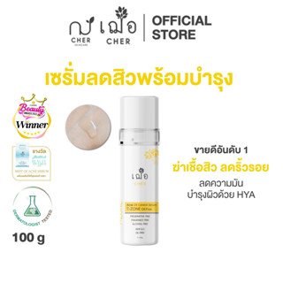 CHER Acne Oil Control T-zone (Oil Free) เฌอ เซรั่มไฮยาลดสิว 100 g