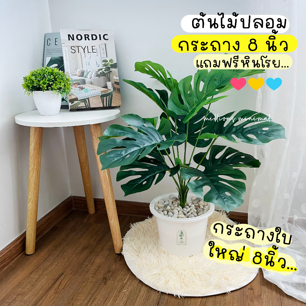 ราคาถูกที่สุด ต้นไม้ปลอม ต้นไทรใบสัก ต้นมอนสเตอล่า พร้อมกระถางแถมฟรีหิน - รูปที่ 2