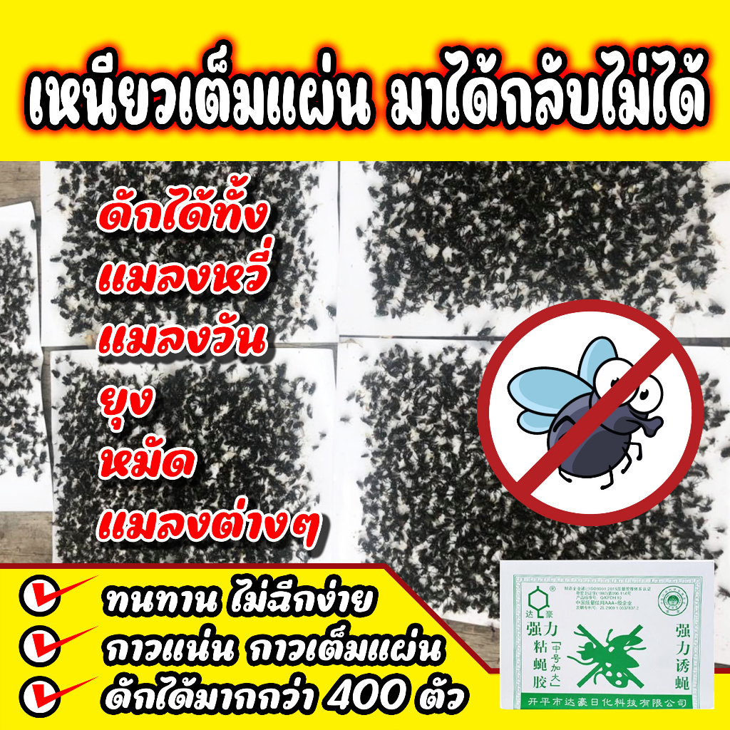 แท้ กาวดักแมลงวัน แผ่นกาวดักแมลงวัน เหนียวแน่น ติดดี กาวเยอะ ซื้อ100 แผ่นขึ้นไปราคาขายส่ง ทักแชท