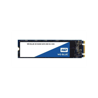 WD BLUE SATA  250 GB SSD (เอสเอสดี) M.2 2280 (WDS250G2B0B) 3D NAND