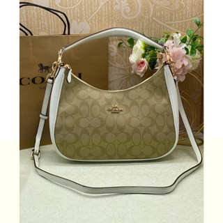 Coach  Teri Hobo In Signature Canvas