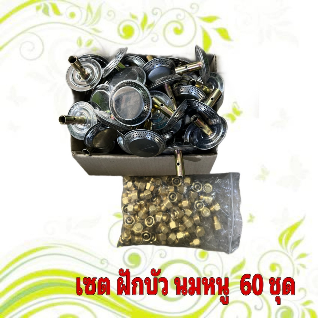 เซตฝักบัว นมหนู จำนวน 50 ชุด
