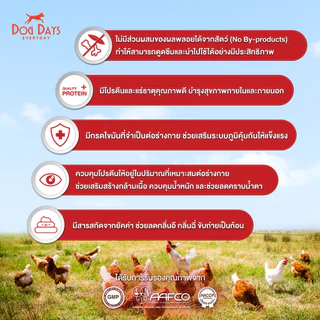 Dog Days อาหารสุนัขรสไก่ (3 kg) Delish เกรด Holistic สูตรสำหรับสุนัขทานยากโดนเฉพาะ