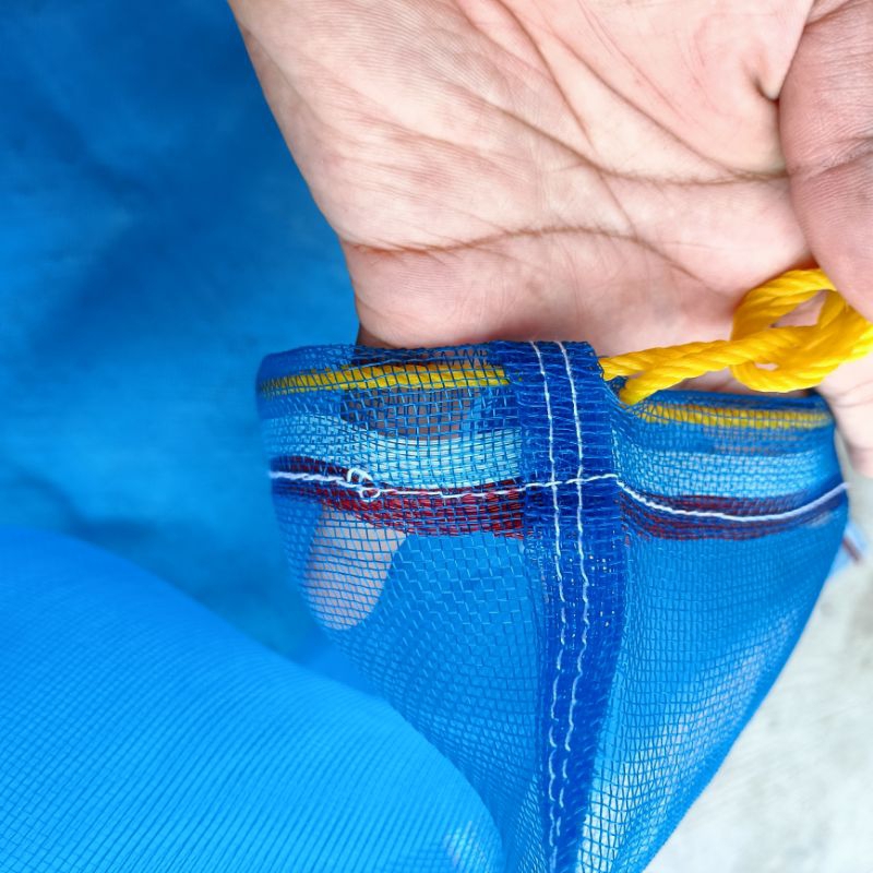 ถุงตาข่ายไนล่อนฟ้า ถุงมุ้งฟ้ามีเชือกรูดปากถุง(ใช้ห่อผลไม้กันแมลง ใส่ขวด ใส่ของ ใส่ปลา ใส่กบ เลี้ยงหอย) - รูปที่ 3