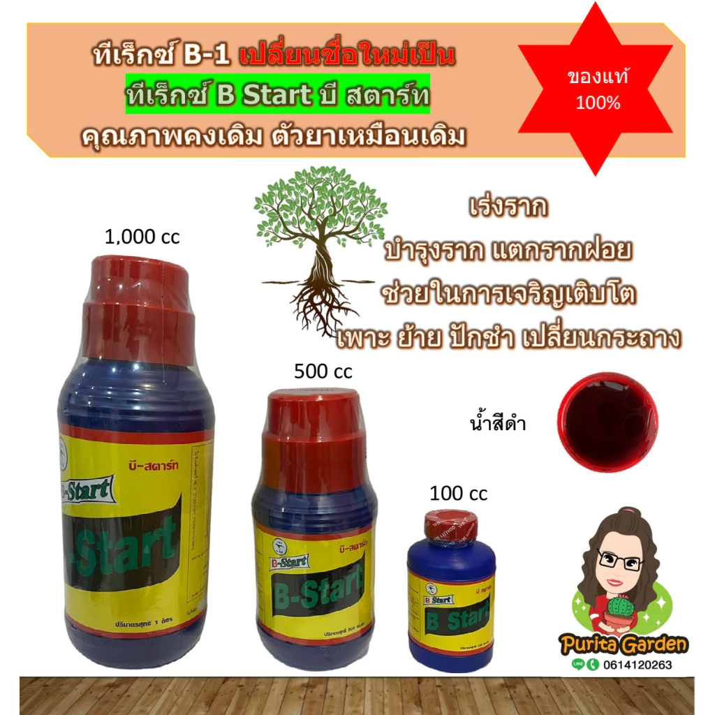 ทีเร็กซ์ B-1 Start Vitamin B-1 ขนาด 100, 500 cc (อ่านก่อนสั่งซื้อ) น้ำยาเร่งราก รากแข็งแรง รากเดินดี
