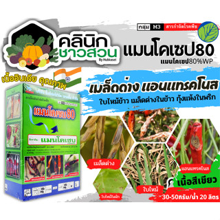 🥬 แมนโคเซบ80 (แมนโคเซบ) บรรจุ 1กิโลกรัม ป้องกันกำจัดโรคที่มีสาเหตุจากเชื้อรา