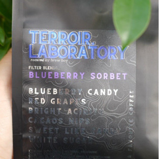 &lt;New Blend&gt; เมล็ดกาแฟ  "Blueberry Sorbet " [Terroir Laboratory] - Blueberry candy, Red grapes, Bright aci  (Filter,250g)