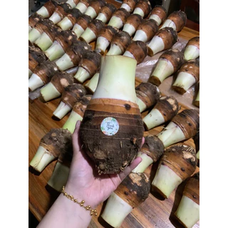 เผือกหอมสด❗️1Kg.❗️ชั่งรวมกล่อง เผือกบก เนื้อฟู หัวใหญ่ สดใหม่ ราคาถูกที่สุด พร้อมส่ง🔥‼️(มีเก็บเงินปลายทางด้วยน่ะ)