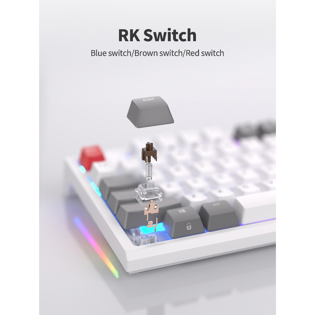 Rk ROYAL KLUDGE R87 คีย์บอร์ดเมคคานิคอล แบบใช้สาย RGB 80% USB เป็น C สําหรับ Mac Os
