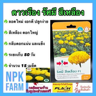 ผักซอง ศรแดง ดาวเรือง รัศมี สีเหลือง จำนวน 15 เมล็ด/ซอง ลอตใหม่ งอกดี กลีบดอกแน่น ดอกใหญ่ จัมโบ้ 8-12 ซม. กลีบดอกแน่น