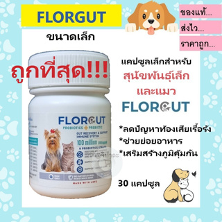 ถูกสุด!!! FLORGUT S (สำหรับสุนัขพันธุ์เล็กและแมว) อาหารเสริมโพรไบโอติกส์และพรีไบโอติก ลดปัญหาท้องเสียเรื้อรัง