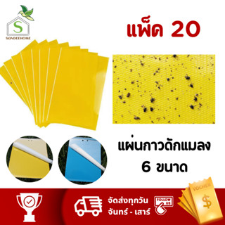 แผ่นกาวดักแมลง ( แพ็ค 20 แผ่น )