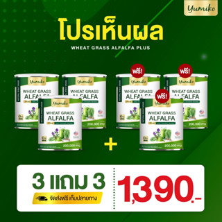 ✅แท้💯 วีทกราส อัลฟาฟ่า ยูมิโกะ คลอโรฟิลล์ ไฟเบอร์ ล้างสารพิษ ปริมาณ 200 กรัม Wheatgrass Alfalfa yumiko 200 g